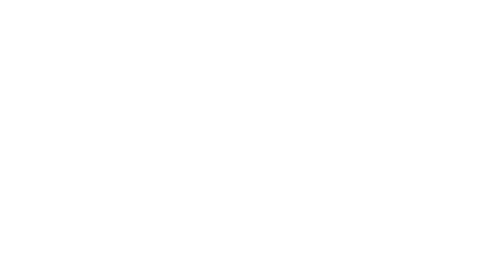 SoCo Ginger Beer Logo